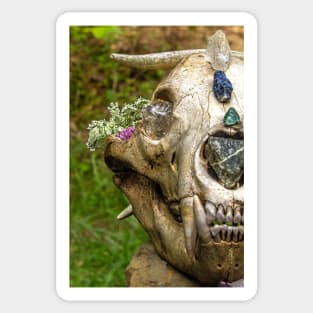 Enchanted Bear Skull Sticker